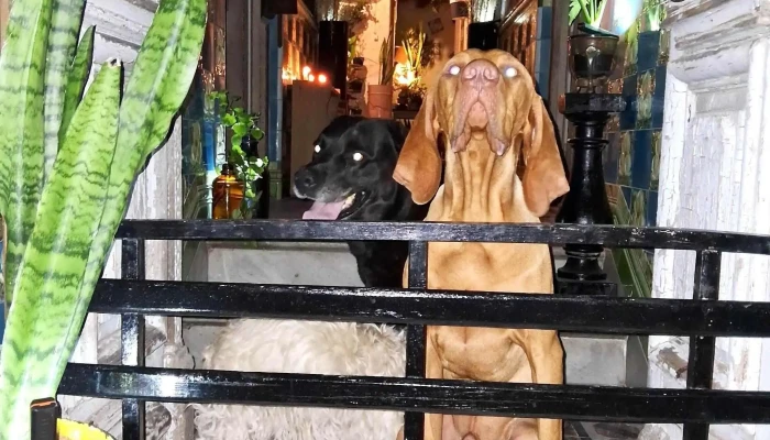 Jose Enrique Rodo 550 Zona - Mercedes