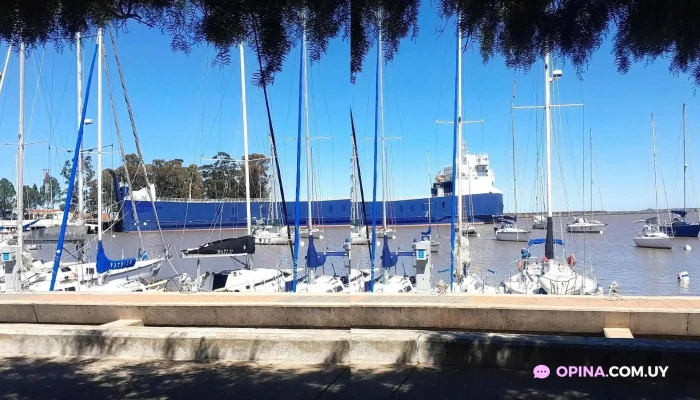 Juan Llacaze Todo - Juan L. Lacaze