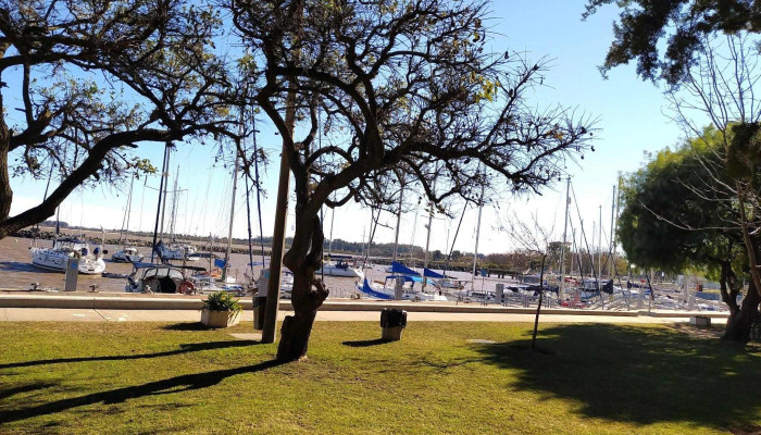 Juan Llacaze Todo - Departamento de Colonia