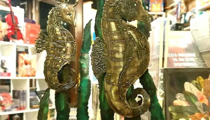 Juana Libros -  Direccion - La Pedrera