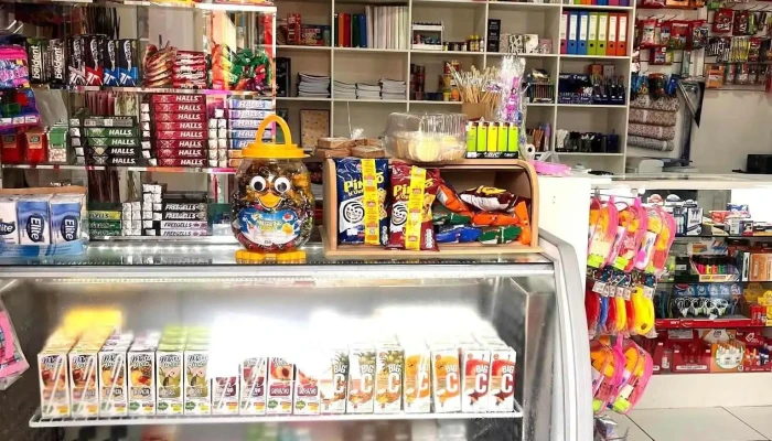 Jugueteria Y Papeleria Antomila Del Propietario - Rivera