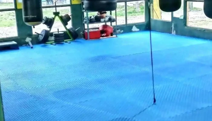 Juniors Boxing Parque Del Plata -  Boxeo - Parque del Plata