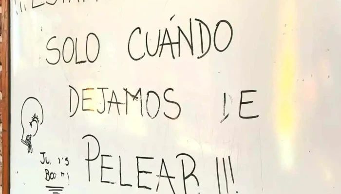Juniors Boxing Parque Del Plata -  Del Propietario - Parque del Plata