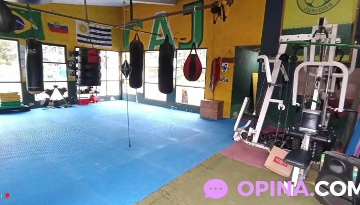 Juniors Boxing Parque Del Plata -  Gimnasio - Parque del Plata