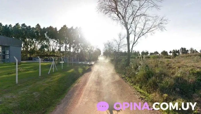 Júpiter Company S.a - 12400 Montevideo