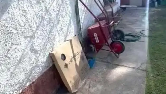 Kaffa -  Videos - Toledo