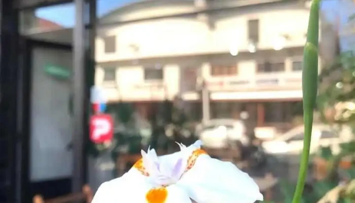 Kaly Café - Atlántida