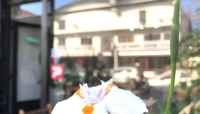 Kaly Cafe Todo - Atlántida