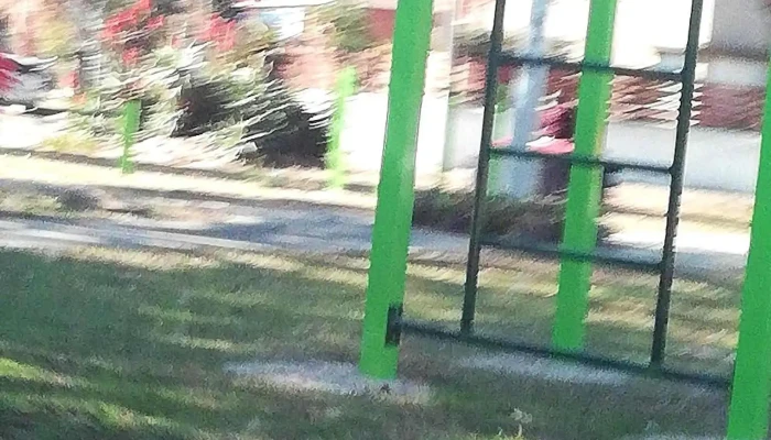 Kiosco Charo -  Fotos - La Floresta