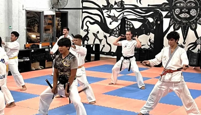 Koi Artes Marciales -  Arte Marcial - Maldonado