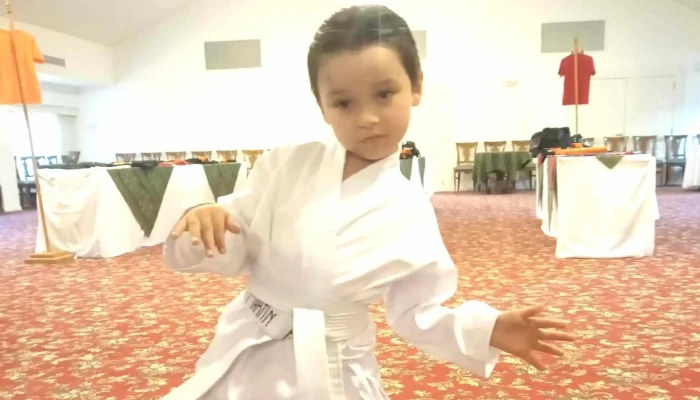 Koi Artes Marciales -  Catalogo - Maldonado