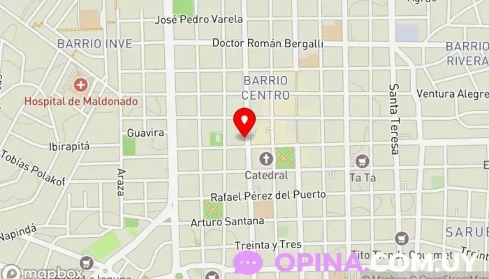 mapa de Koi Artes Marciales Escuela de taekwondo en Maldonado