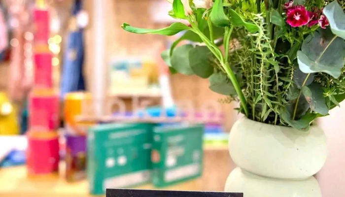 Kokino   Jugueteria Y Papeleria Del Propietario - Montevideo