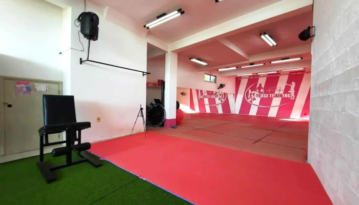 Ktorse Training -  Del Propietario - Melo