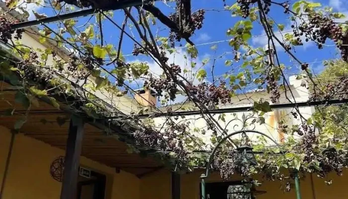 L Osteria Aigua Mas Recientes - Aiguá