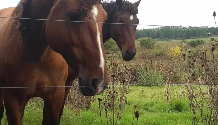 La Aguada -  Instagram - Soca