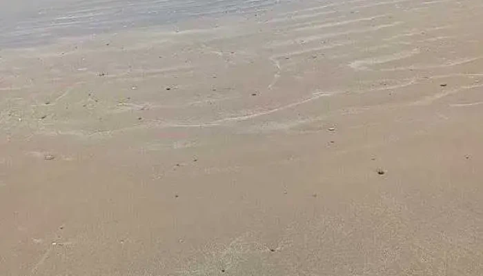 La Aguada - La Paloma