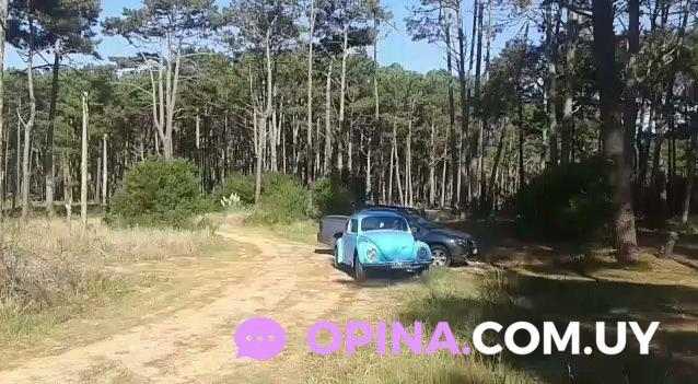 La Aguada -  Videos - La Paloma