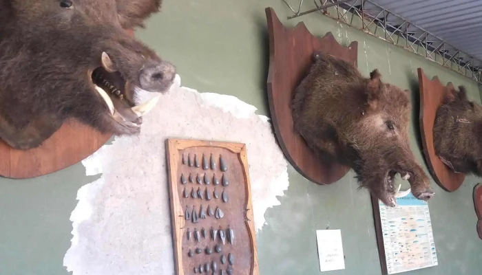 La Baquiana -  Como Llegar - San Javier