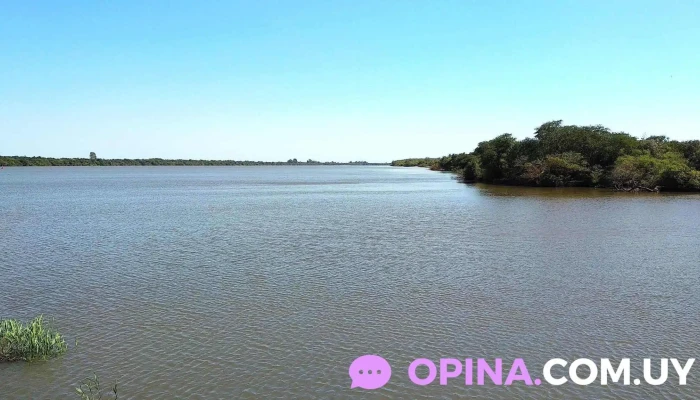 La Baquiana -  De Los Visitantes - San Javier