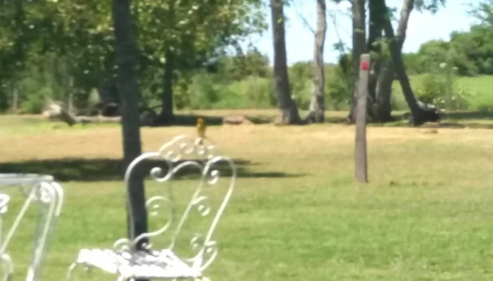 La Baquiana -  San Javier - San Javier