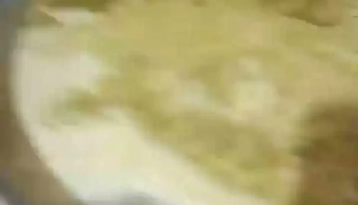 La Barra Beer -  Videos - Paysand&uacute;