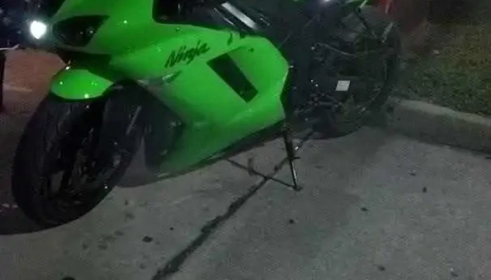 La Barra -  Videos - La Floresta