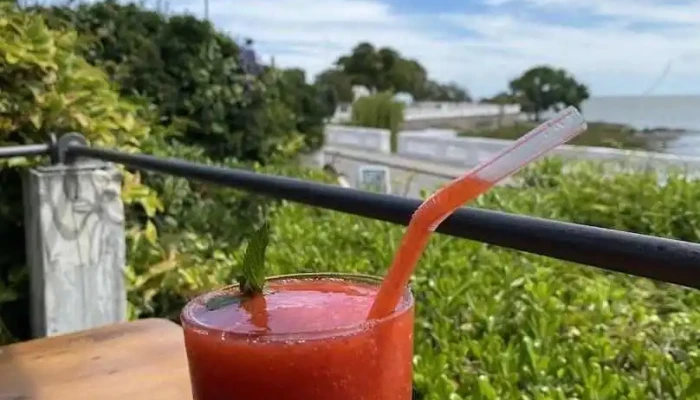 La Bodeguita -  Jugo - Col. del Sacramento