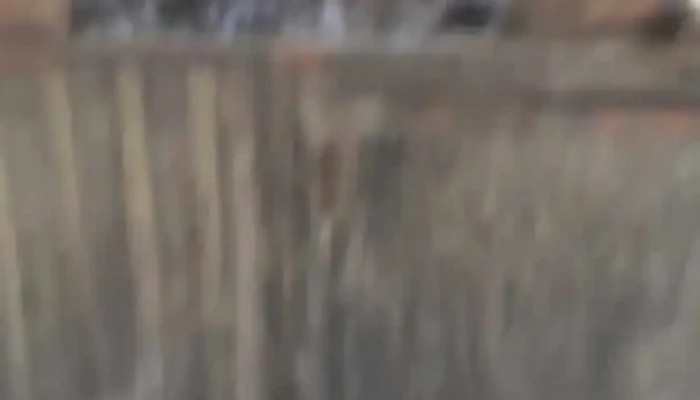 La Bomba -  Videos - Artigas