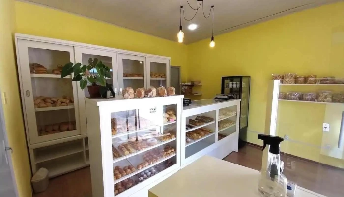 La Campana Ambiente - Artigas