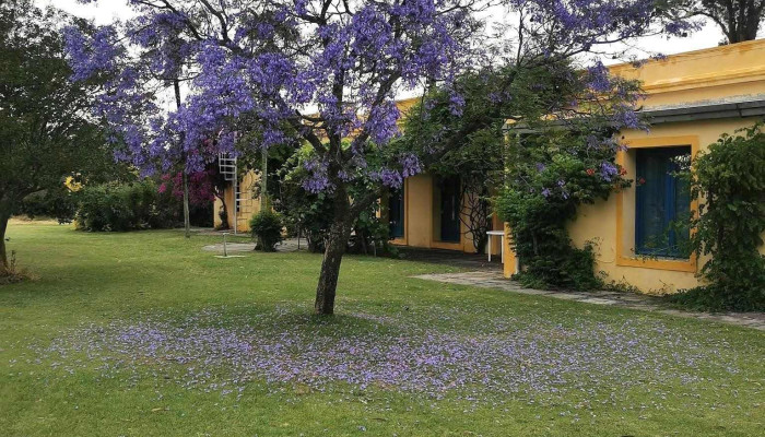 La Canaria -  Exterior - Col. del Sacramento