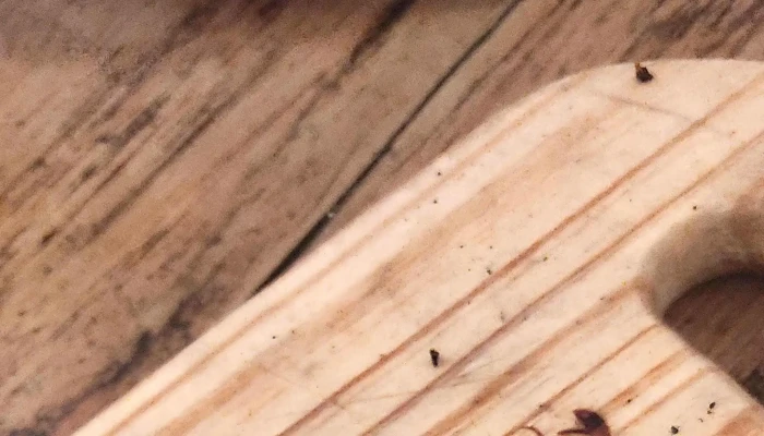 La Canilla -  Comentario 5 - Salto