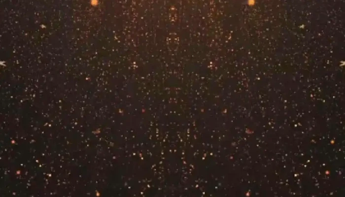 La Canilla -  Videos - Salto