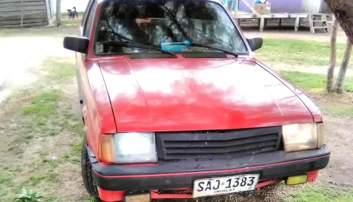 La Cantina De Manolo -  Comentario 4 - Constitución