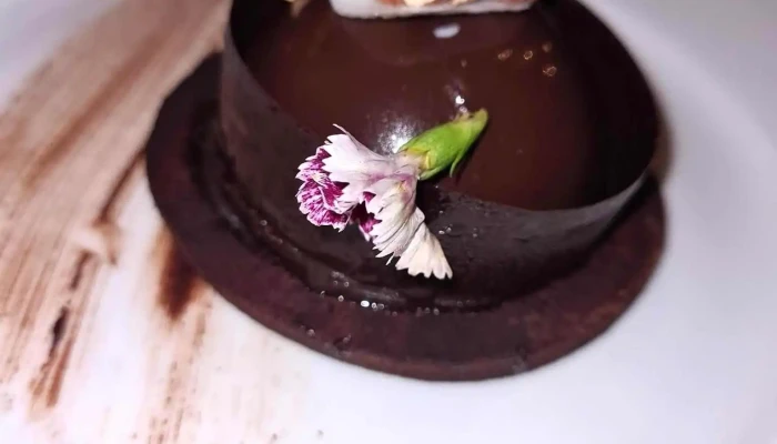 La Casa Violeta -  Tarta De Chocolate - Montevideo