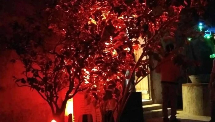 La Casona -  Comentario 1 - Vergara