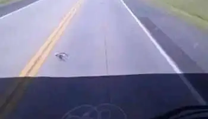 La Casona Resto Bar -  Videos - Mercedes