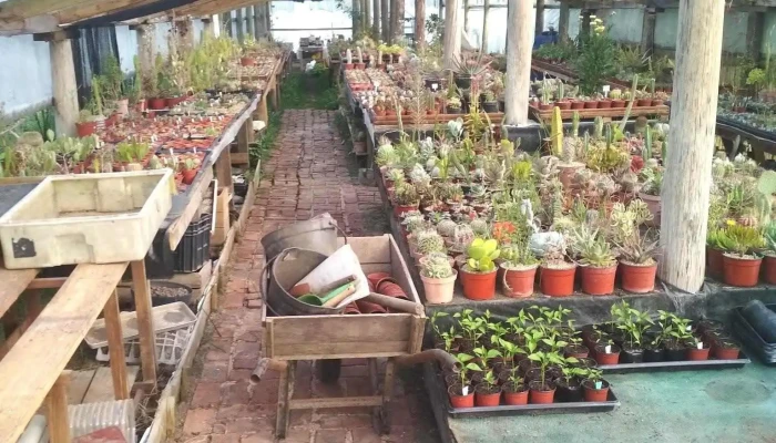 La Chacra De Milan -  Exterior - San Carlos