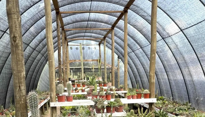 La Chacra de Milan - San Carlos