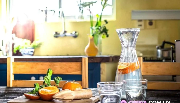 La Chacra Holandesa -  Comida Y Bebida - Estación Atlántida