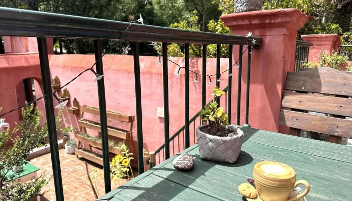 La Checa -  Cafe - Maldonado