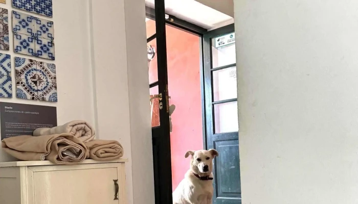 La Checa -  Comentario 2 - Maldonado