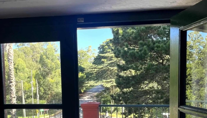 La Checa -  Comentario 3 - Maldonado