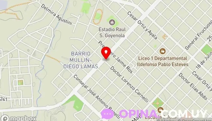 La Chilenita - Av. Brig. Gral. Manuel Oribe