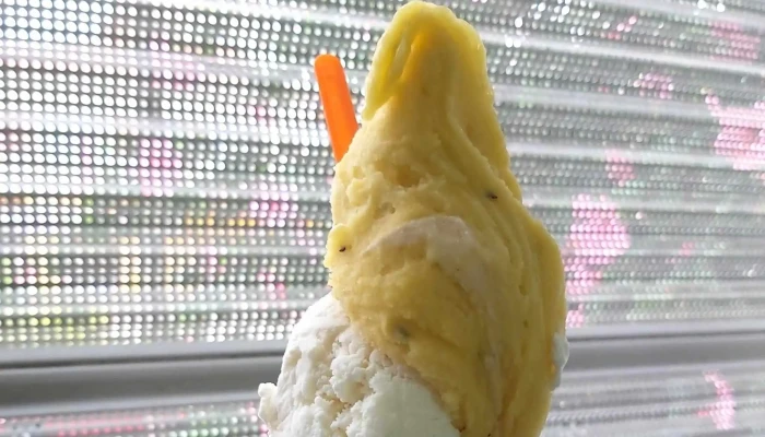 La Cigale -  Comentario 7 - Montevideo