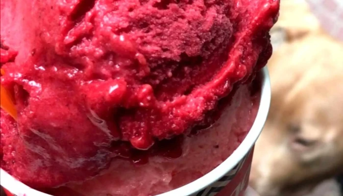 La Cigale -  Comentario 8 - Montevideo