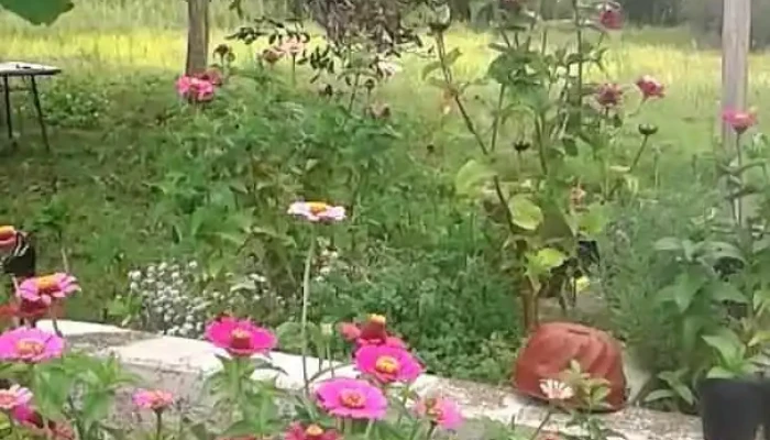 La Cocina De Ana Videos - 25 de Agosto