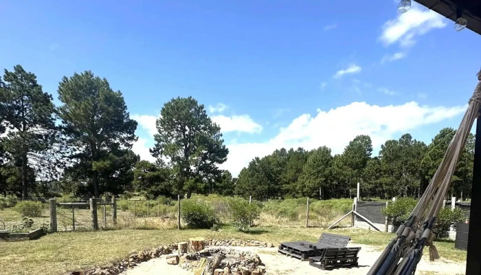 La Cocina De Maca -  Comentario 1 - Canelones