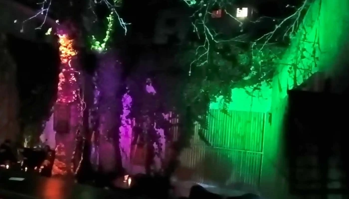 La Cretina -  Comentario 1 - Montevideo