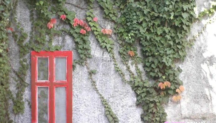 La Cretina -  Del Propietario - Montevideo